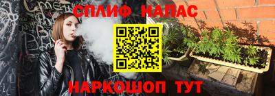 мяу мяу мука Гусь-Хрустальный
