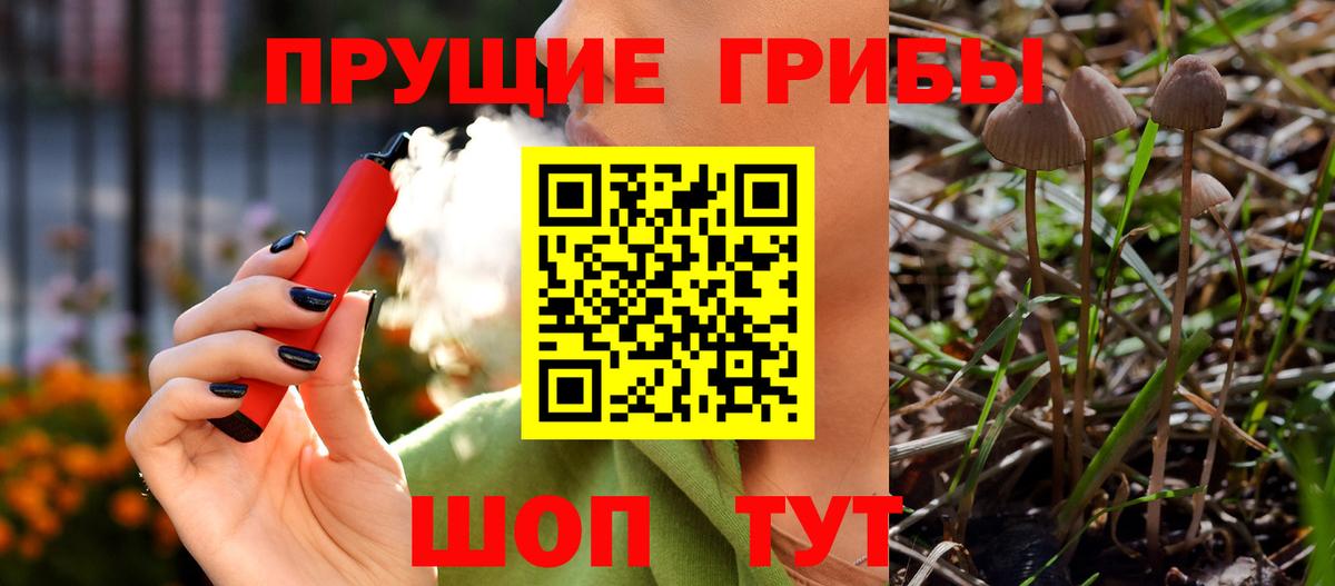 Карпинск  Галлюциногенные грибы Psilocybine cubensis  Вход с VPN 